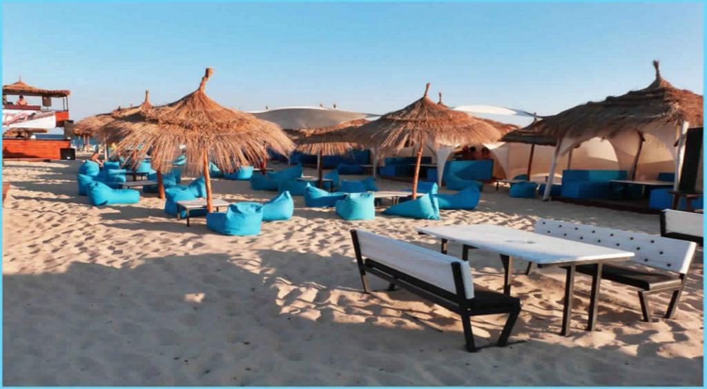 African Queen Hammamet Exterior photo