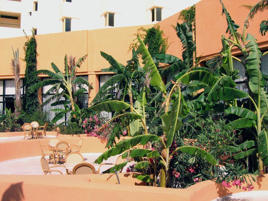 African Queen Hammamet Exterior photo